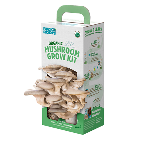 mushroom-packaging-boxes