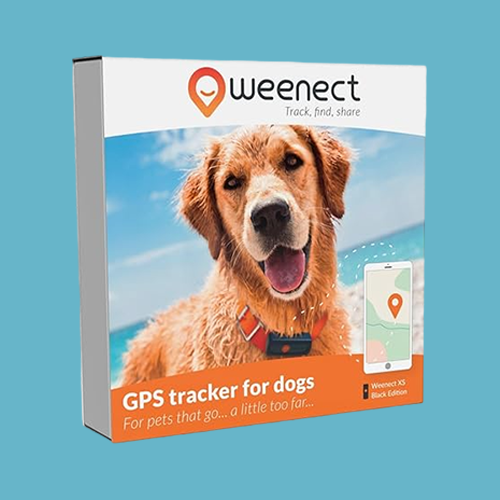 dog-tracker-box
