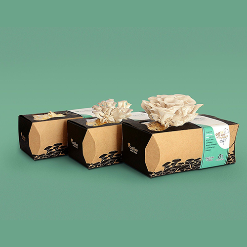custom-mushroom-packaging custom-mushroom-packaging