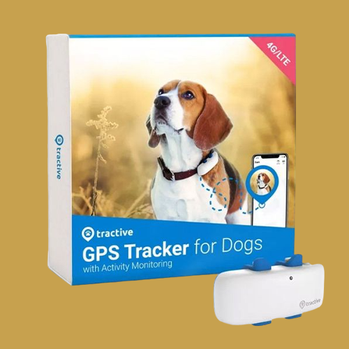 dog-tracker-boxes